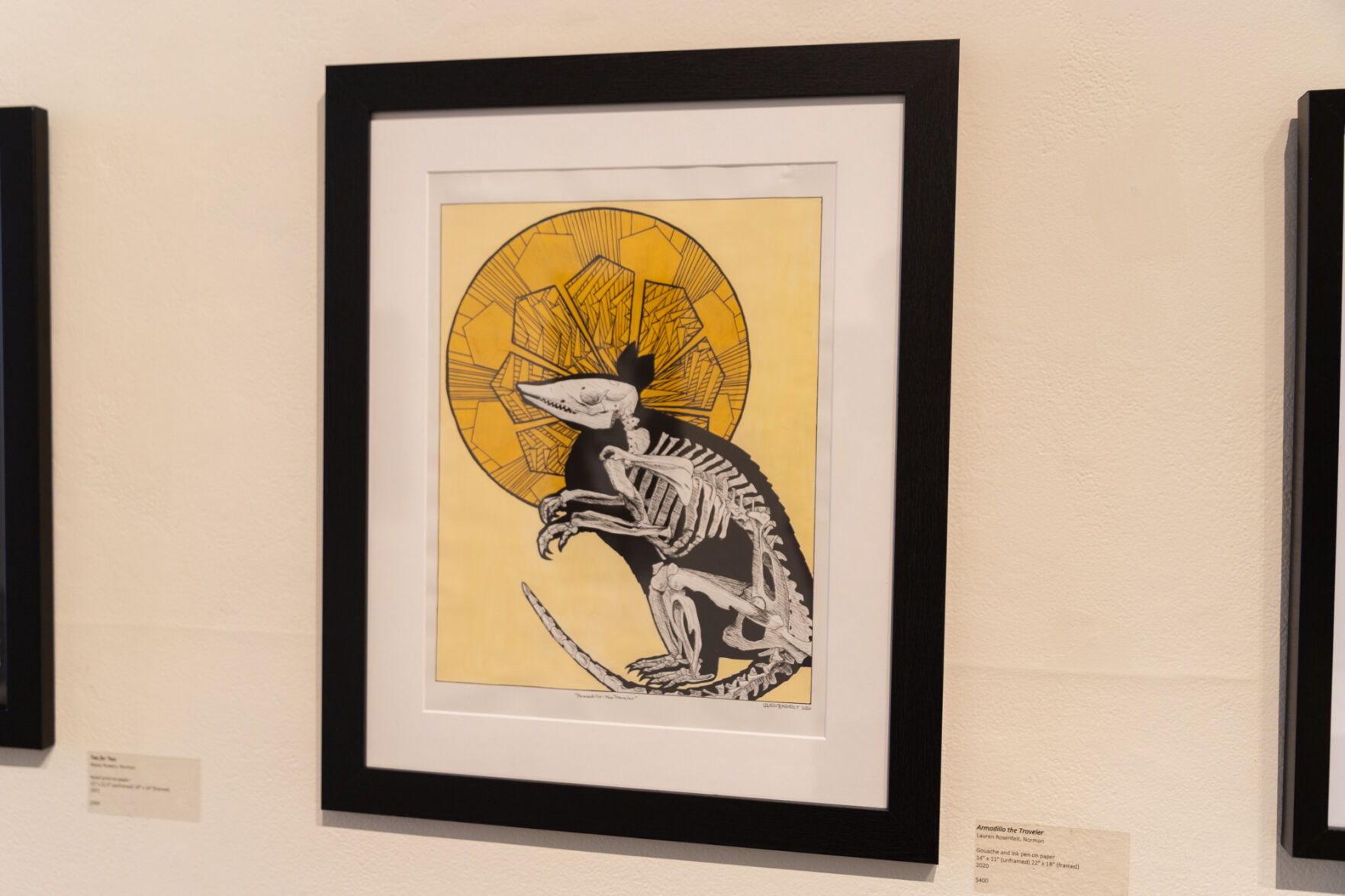"Armadillo the Traveler"